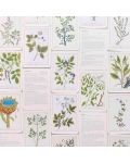 Healing Plants: A Botanical Card Deck (50 Cards and Booklet) - 4t